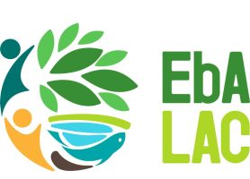 Logo-EbALAC-web-1